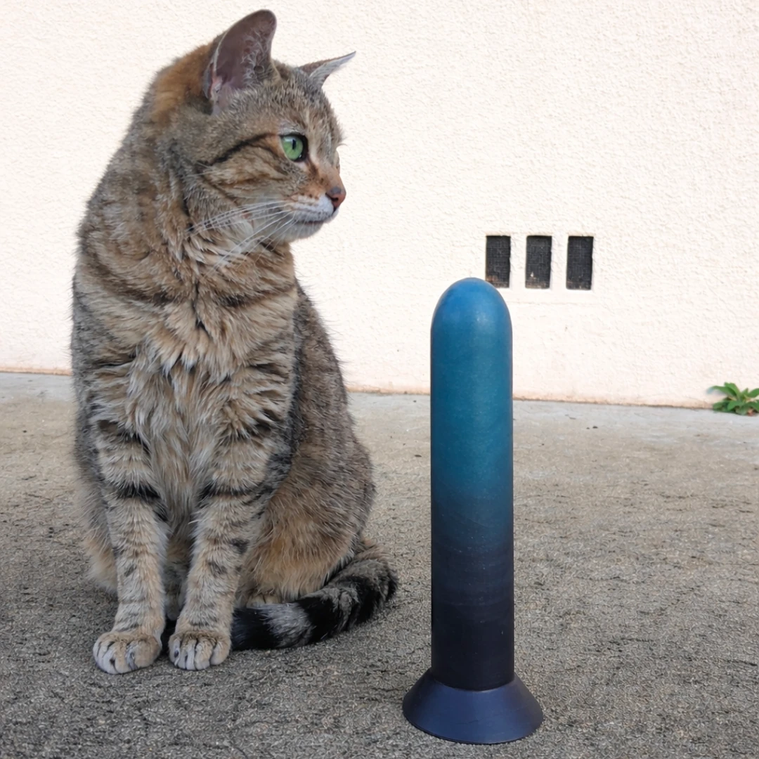 DIY silicone dilator with a cat next to it